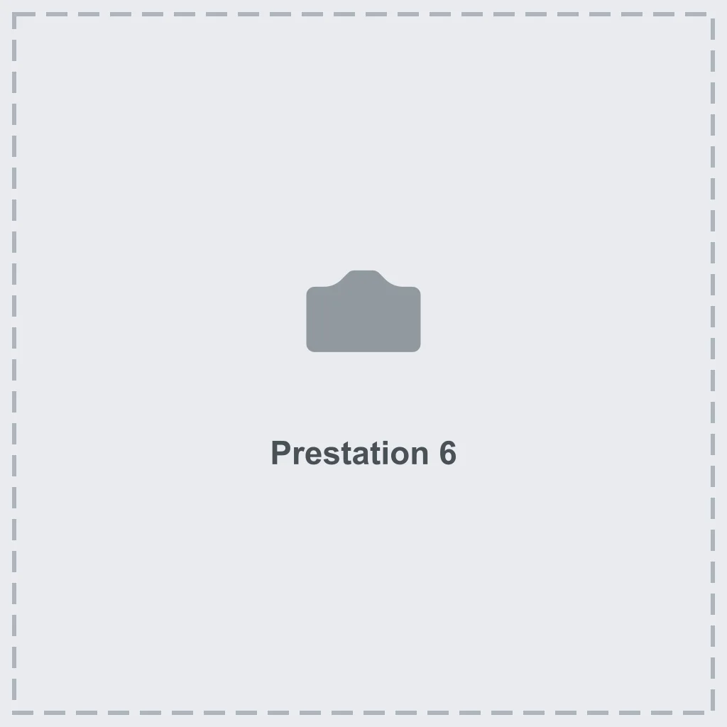 Prestation 6